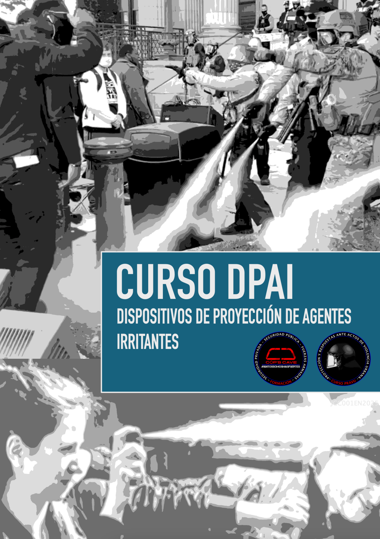 caratula curso DPAI Agentes irritantes