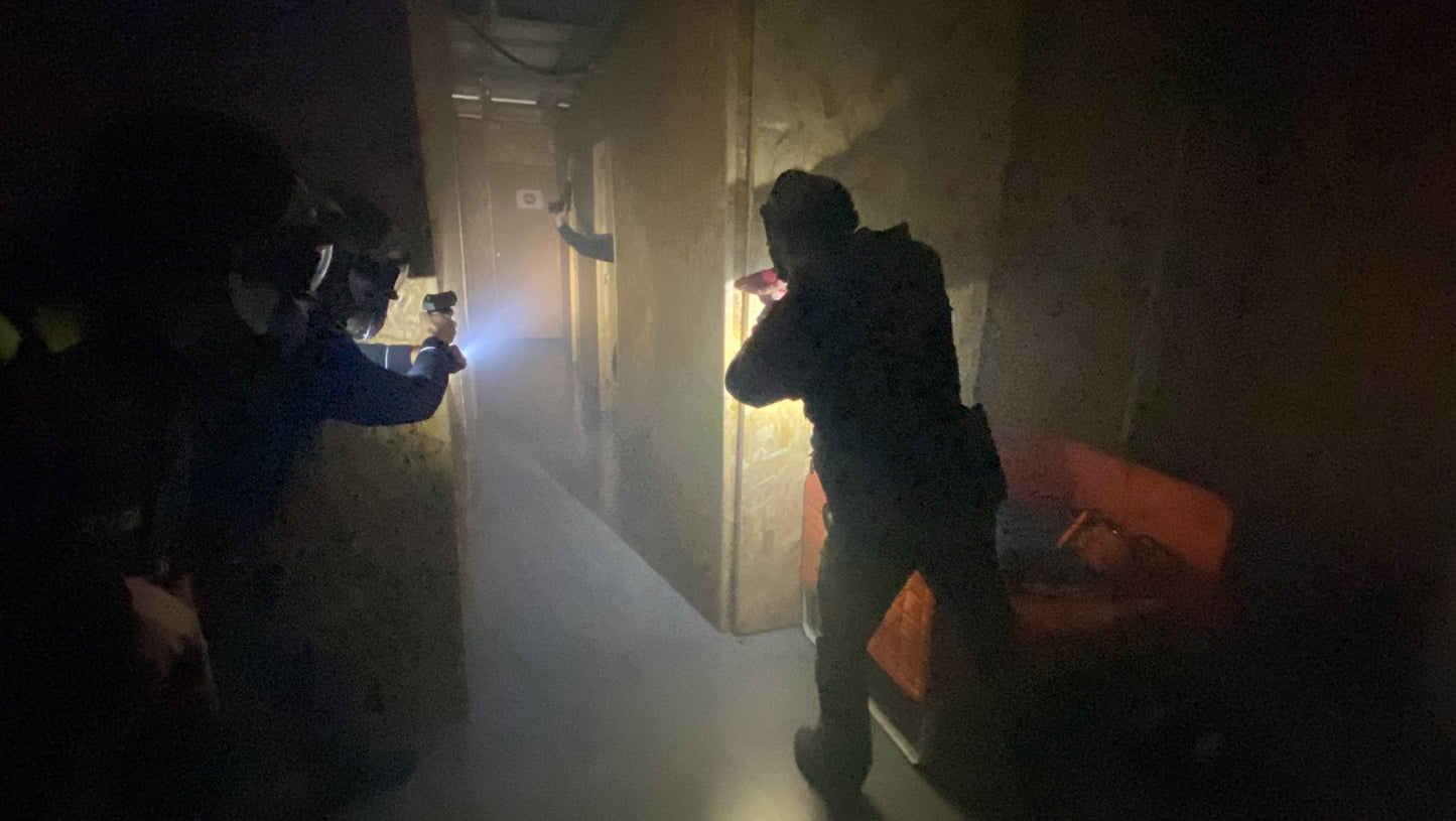 simulaciones en binomio realistas con o sin visibilidad curso RCONF