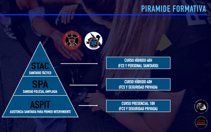 Piramide formativa de cursos de sanidad tactica