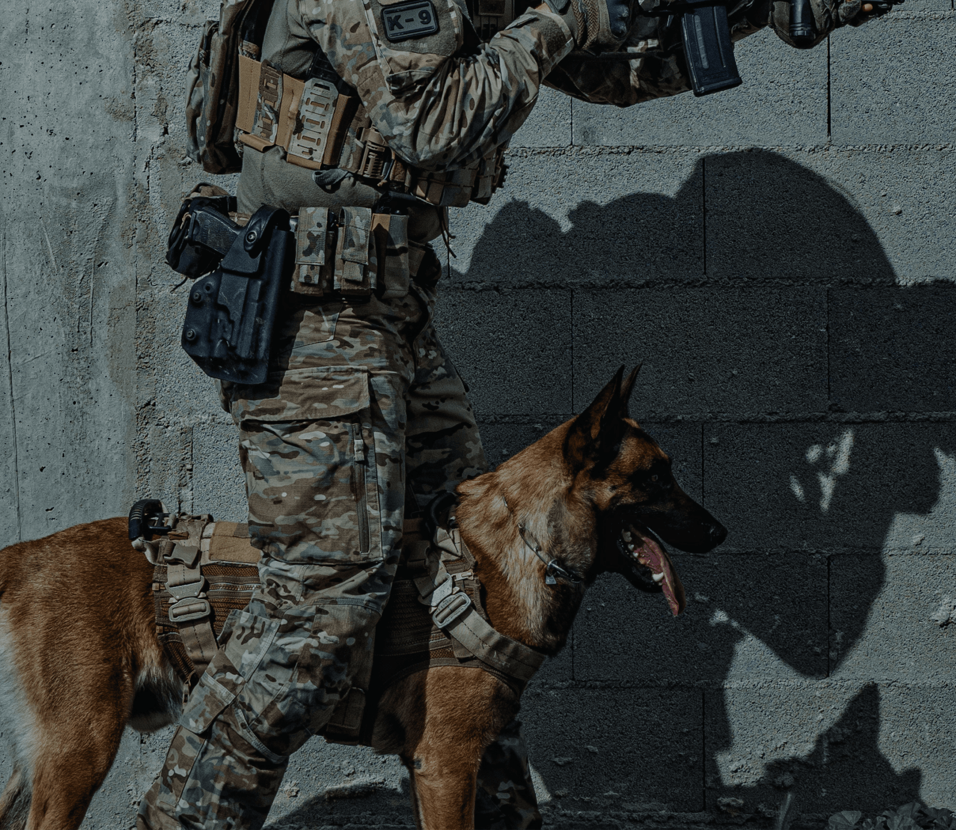 binomio de trabajo perro K9 con operador