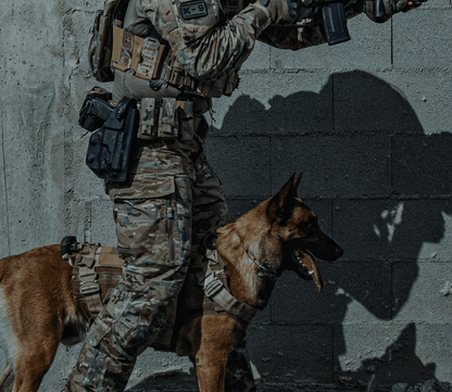 binomio de trabajo perro K9 con operador