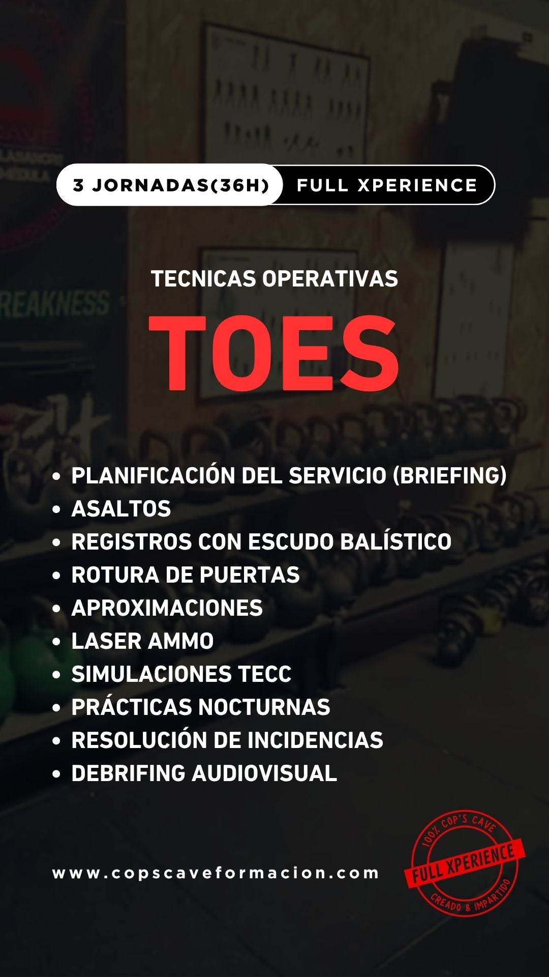 Contenido del curso TOES
