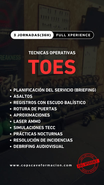 Contenido del curso TOES